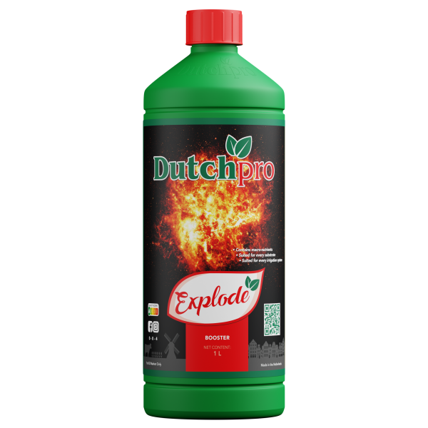 Dutchpro Explode