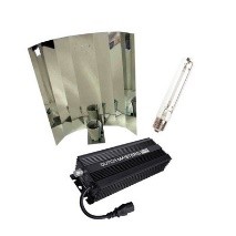 Digital ballast dimmable 250/600 + mirror or hammered cap