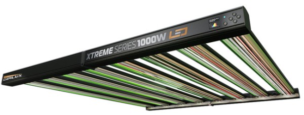 DimLux Xtreme Series LED 500 - 750 und 1000 watt