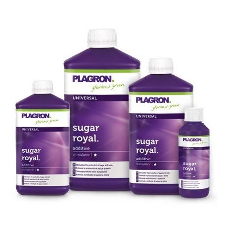 Plagron Sugar Royal