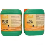 Ferro Cocos Growth A&B