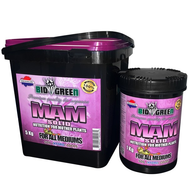 BioGreen MAM (Mother plant)