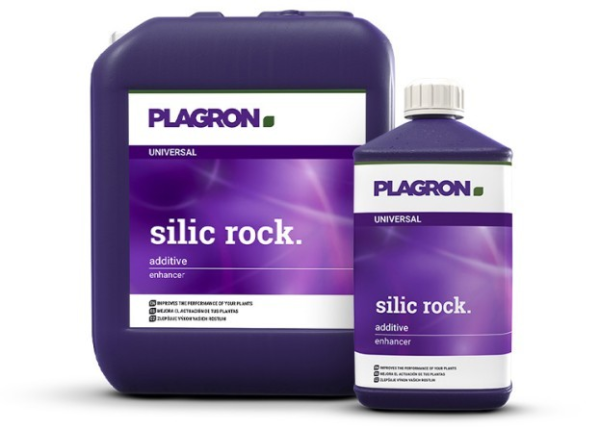 Plagron Silic Rock