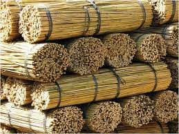 Bamboo sticks