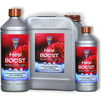 Hesi Boost